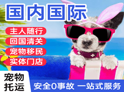 常州机场空运国际宠物托运 【国